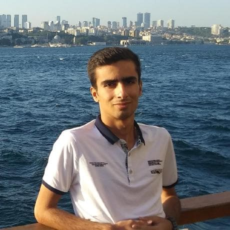 Alireza Choubineh